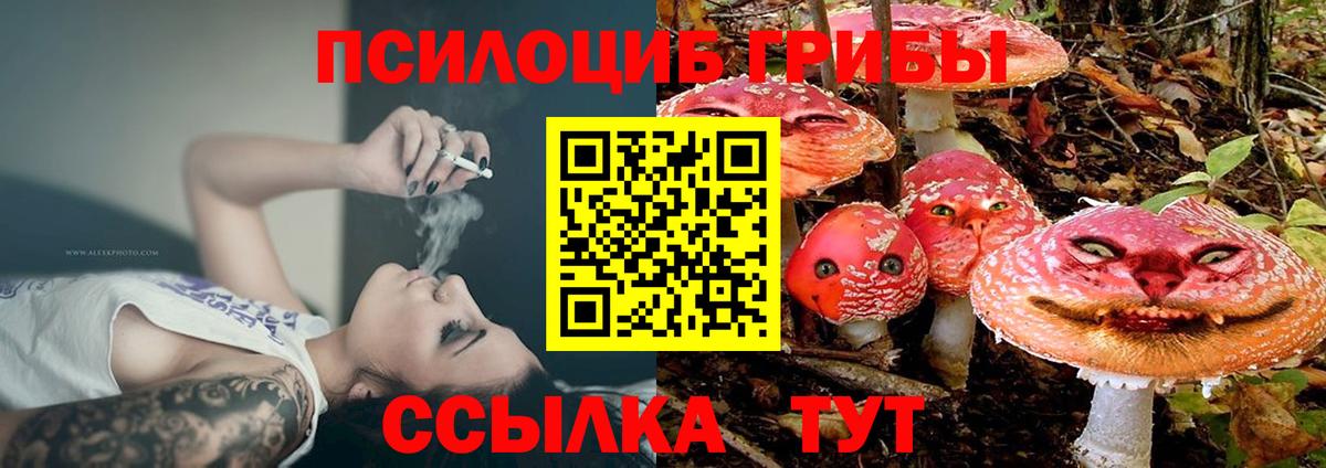Партизанск  Псилоцибиновые грибы GOLDEN TEACHER  Вход с VPN 