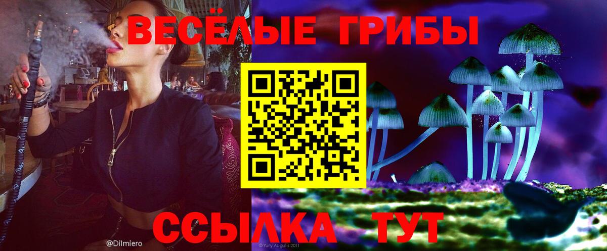 Галлюциногенные грибы ЛСД Партизанск